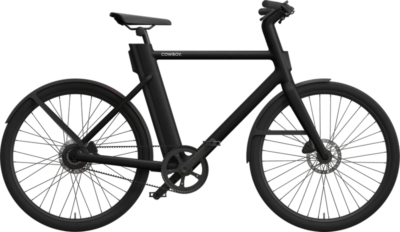Cruiser