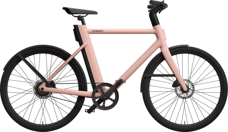 Cruiser