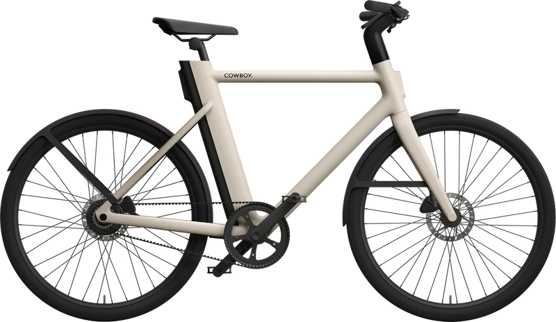 Cruiser