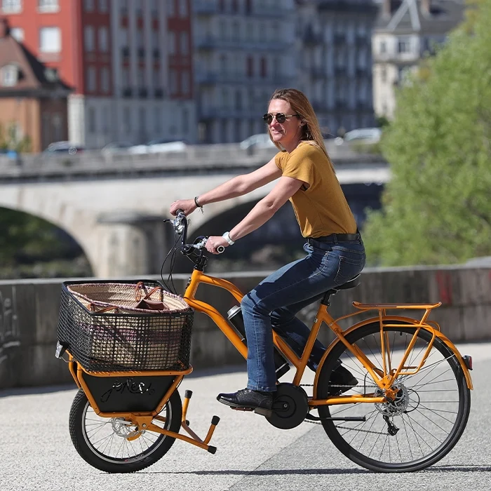 Cargo Compact Orange - Batterie 500 Wh
