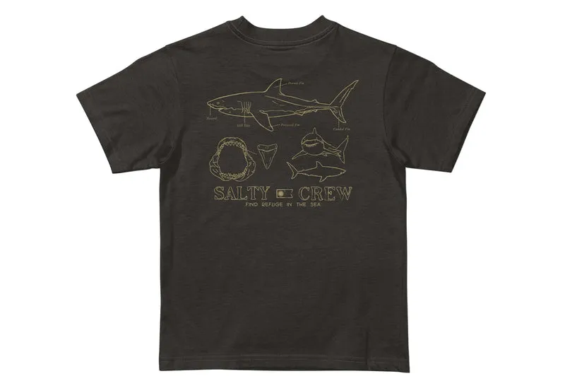 T-shirt Great White SS pour tout-petit