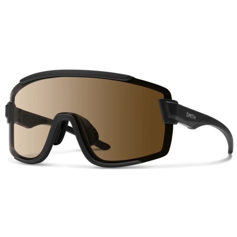 Lunettes Smith Wildcat