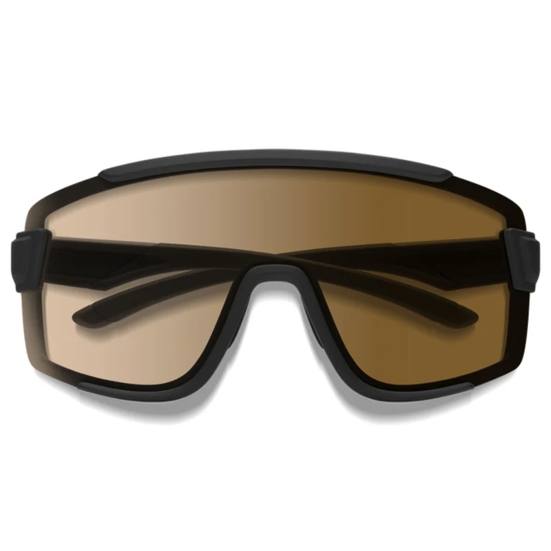 Lunettes Smith Wildcat