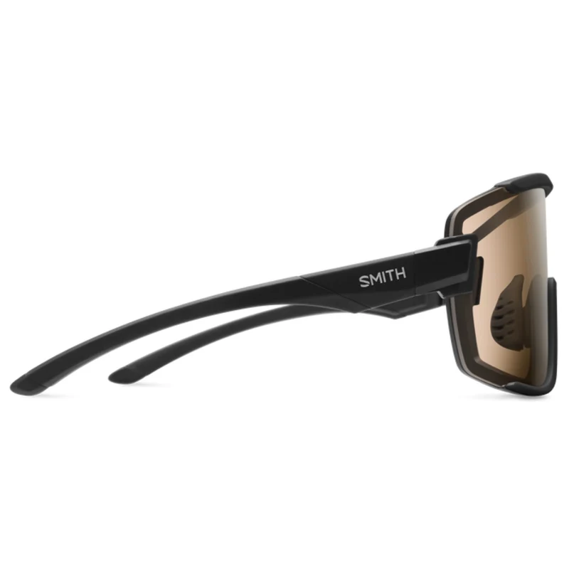 Lunettes Smith Wildcat