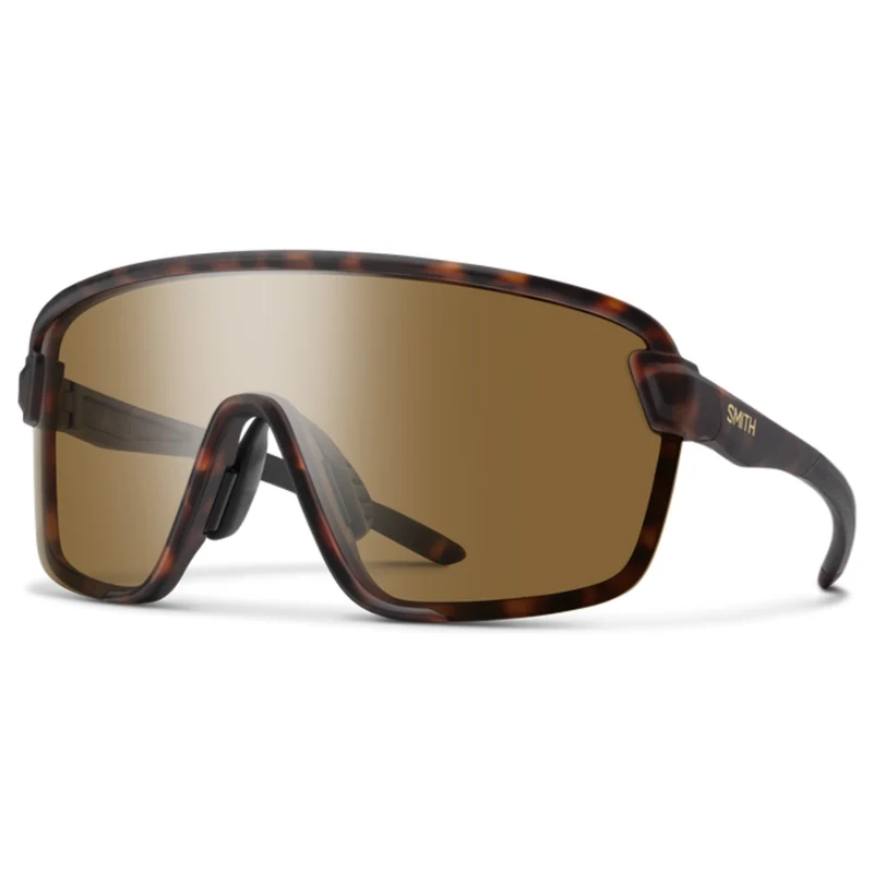 Lunettes Smith Bobcat