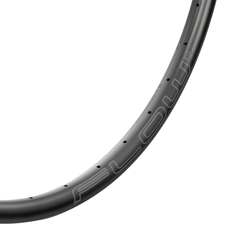 Roue arrière Stans No Tubes Flow EX3 29 pouces Boost HG