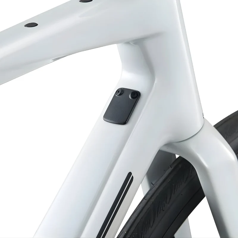 BMC Roadmachine Two