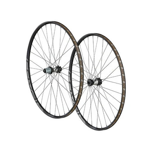 Roues Roval control 29 - paire - charcoal