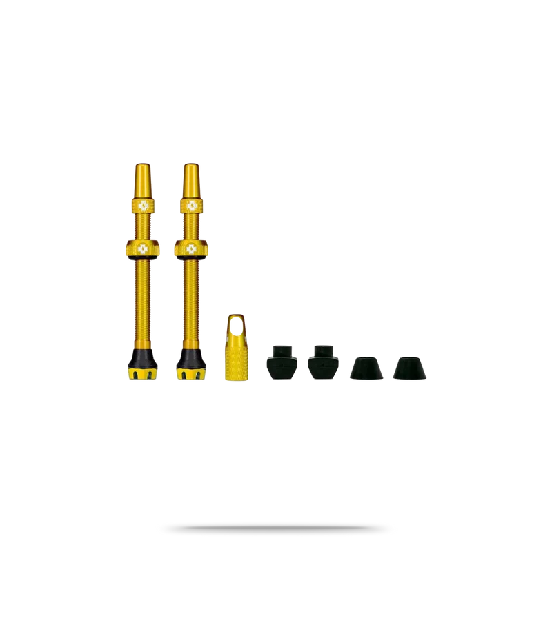 Tubeless Valve Kit V2
