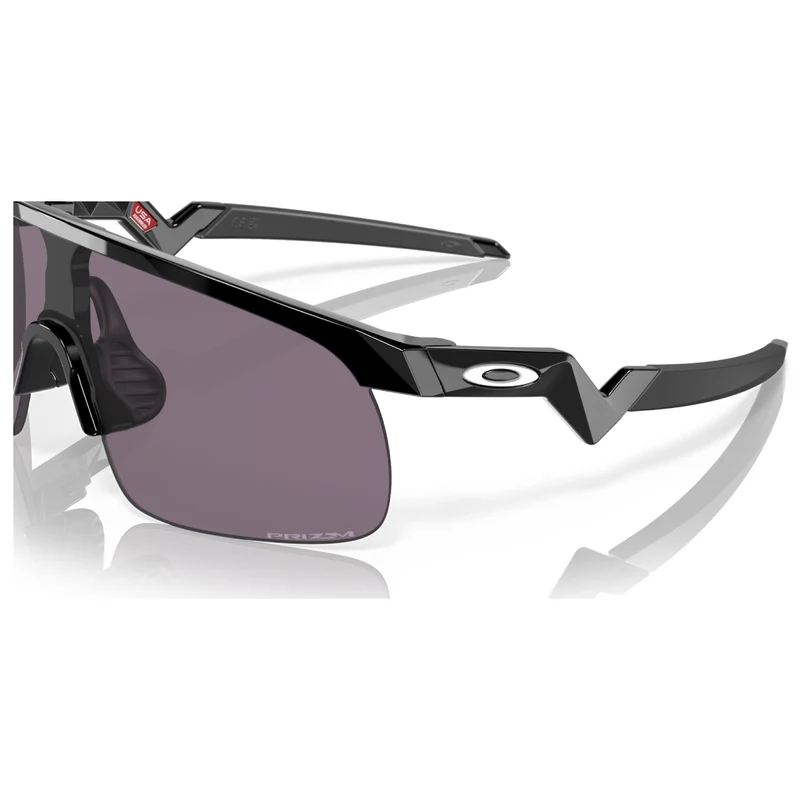 Lunettes Oakley Resistor