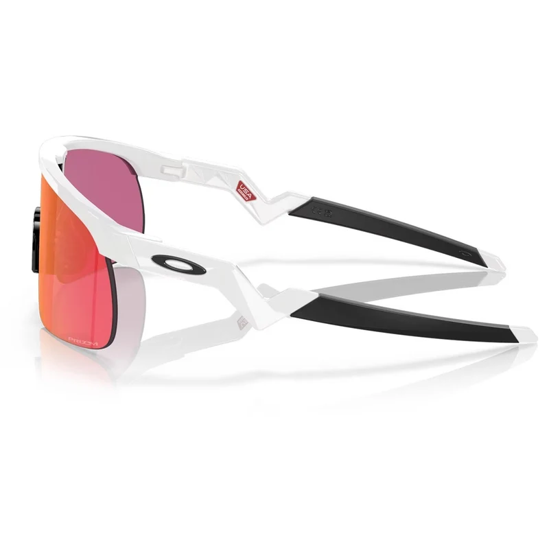 Lunettes Oakley Resistor