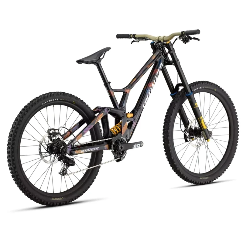 Specialized Demo Race