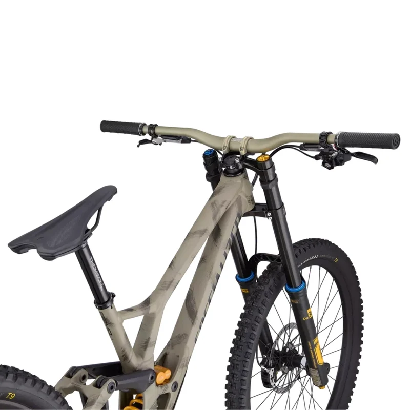 Specialized Demo Race