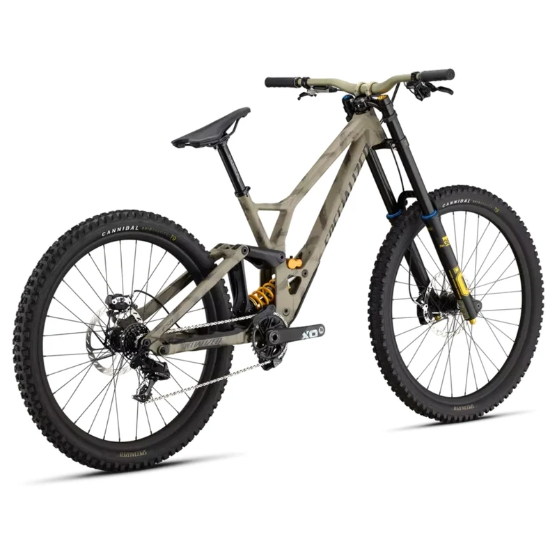 Specialized Demo Race