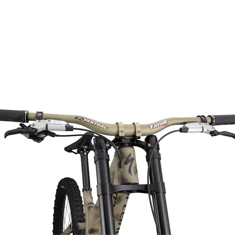 Specialized Demo Race