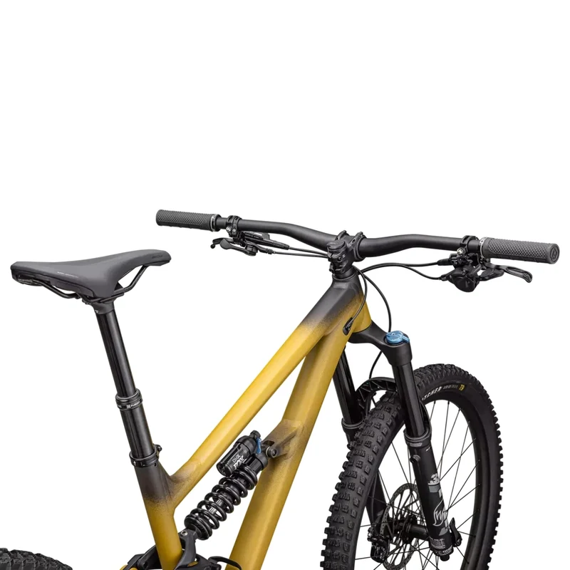 Specialized Status 170 2