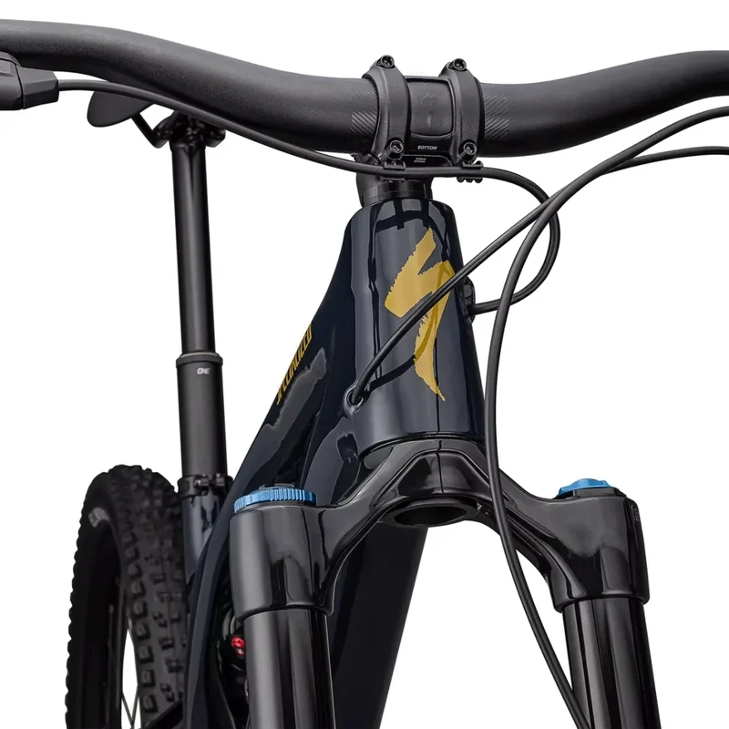 Specialized Stumpjumper Evo Expert
