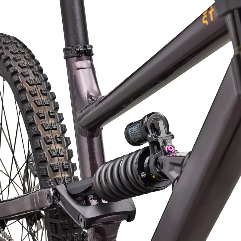 Specialized Status 170 2 DH