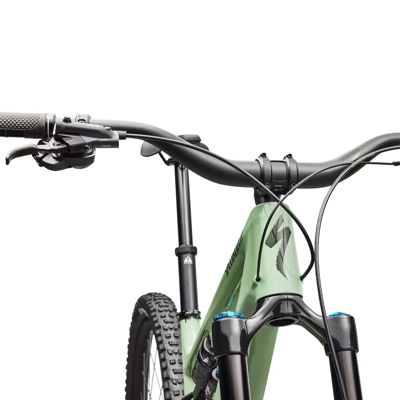 Specialized Stumpjumper 15 Evo Expert