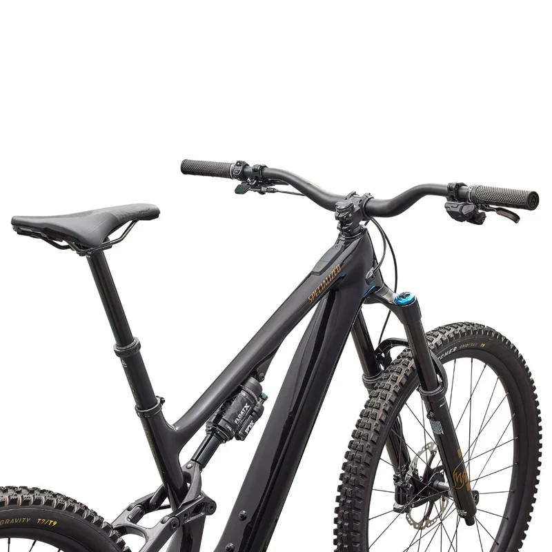 Specialized Levo SL 2 Expert