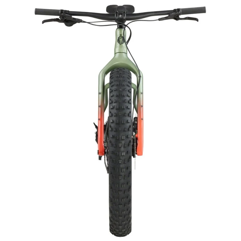 Salsa Beargrease Carbon Cues