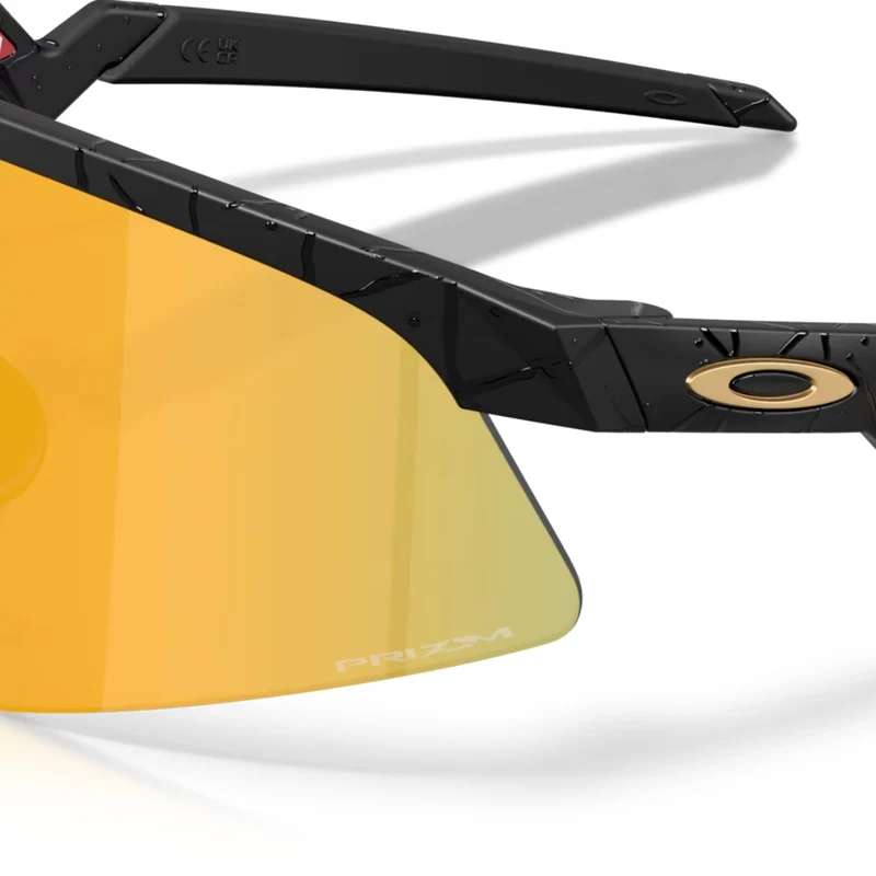 Lunettes Oakley Resistor Sweep