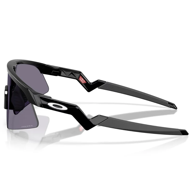 Lunettes Oakley Resistor Sweep