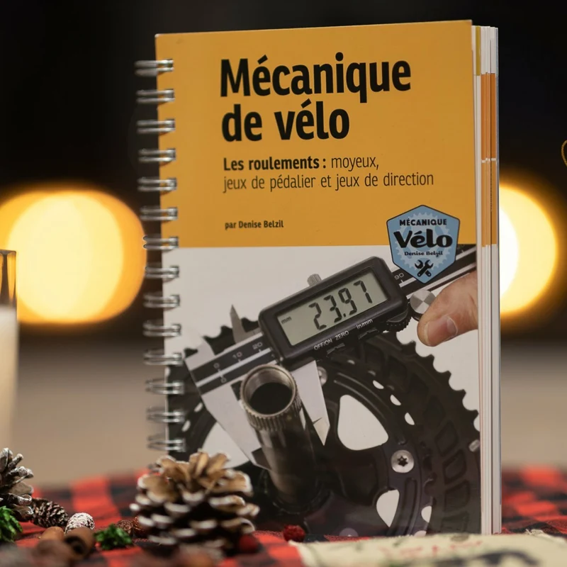 Livre de mecanique de velo - les roulements