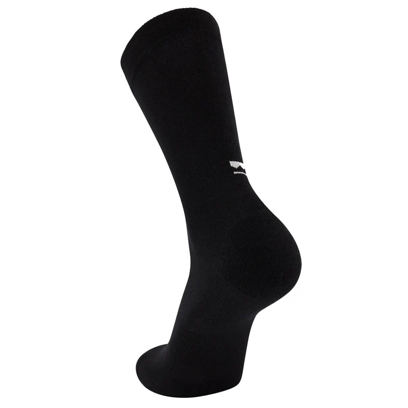 Chaussettes Mons Royale Atlas