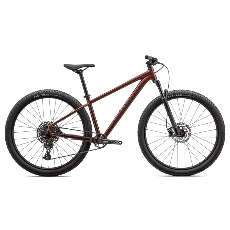 Specialized Rockhopper Expert