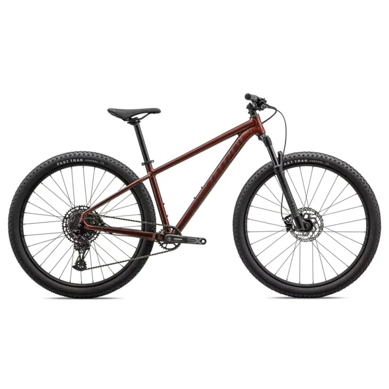 Specialized Rockhopper Expert