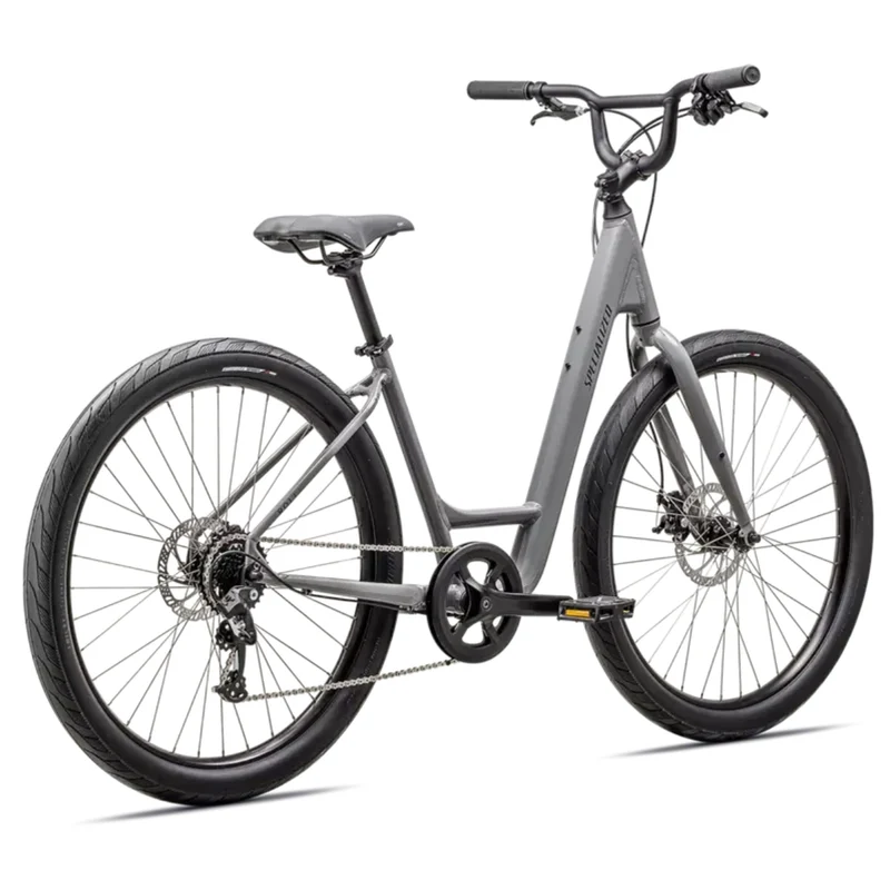 Specialized Roll 2.0 Low Entry