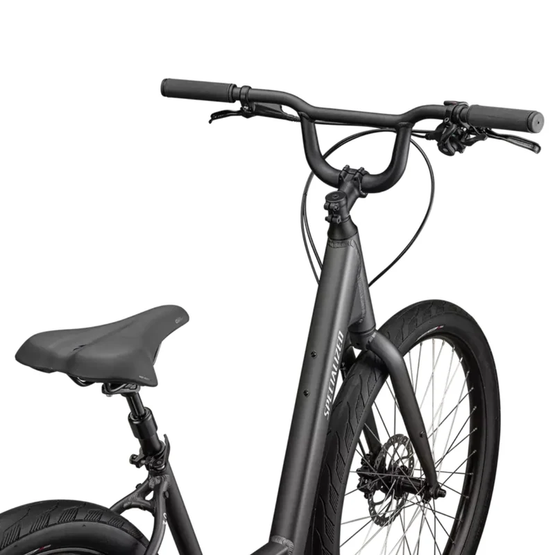 Specialized Roll 3.0 Low Entry