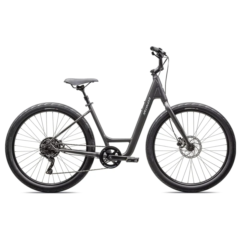 Specialized Roll 3.0 Low Entry