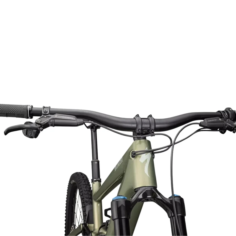 Specialized Kenevo SL Expert