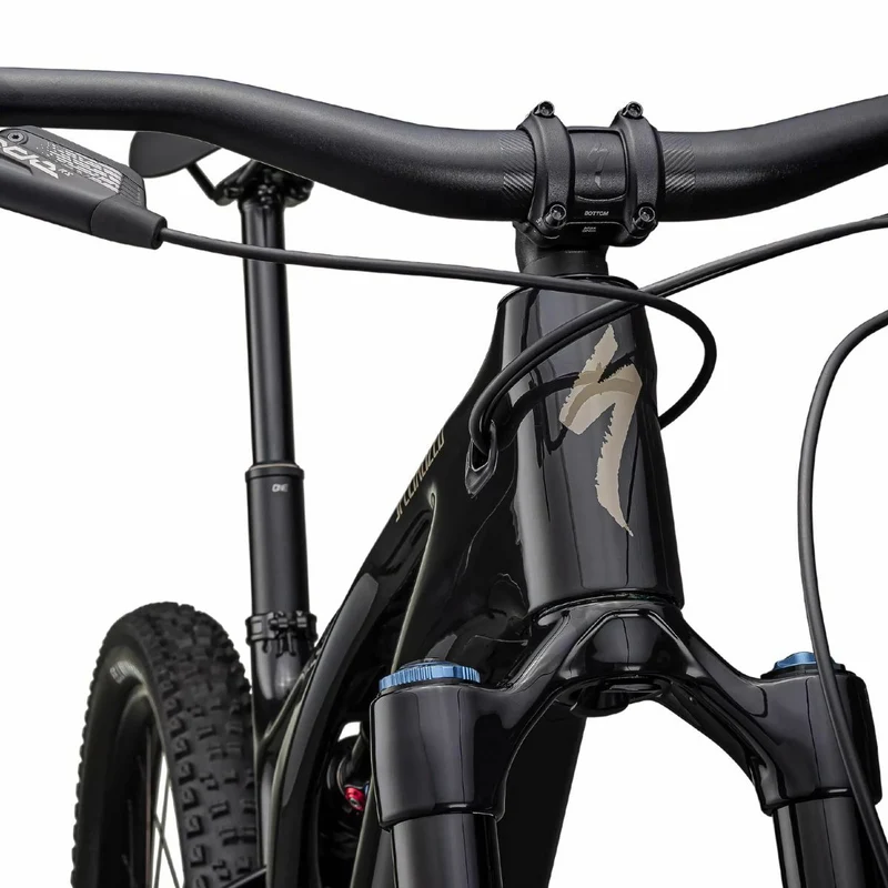 Specialized Levo Expert