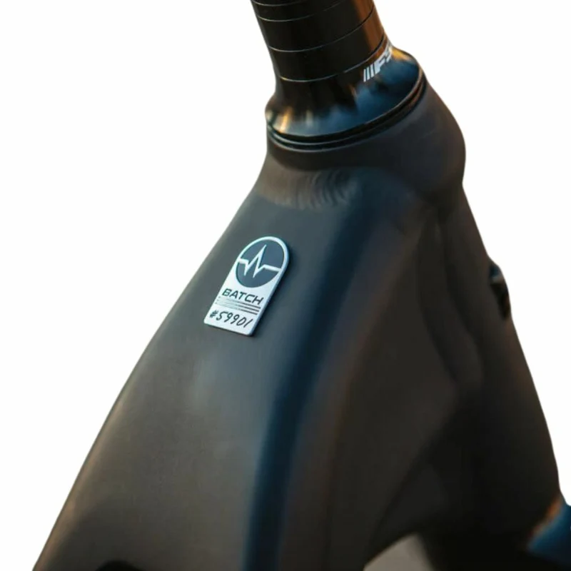 Batch E-Step-Thru Plus