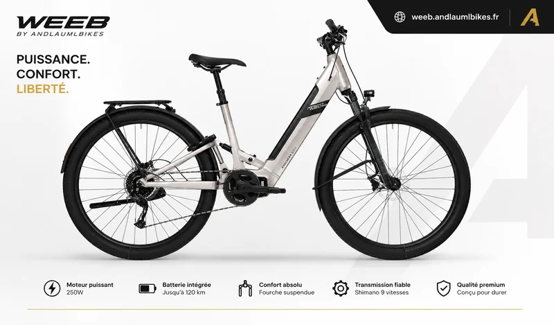 VTC Électrique Rock Machine Crossride e450 FS Touring 500Wh