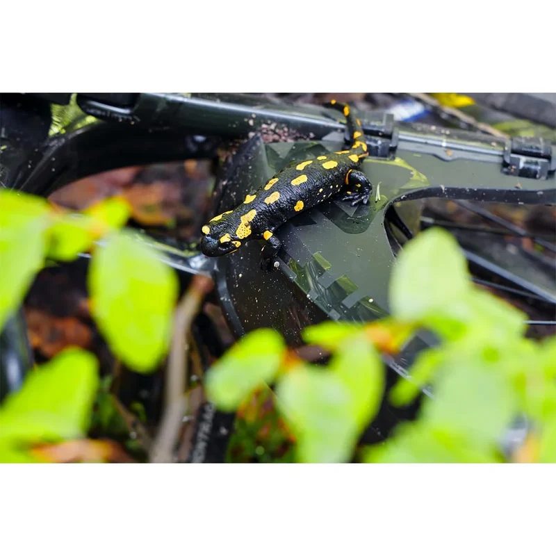 JEU DE GARDES-BUEES SKS MUDROCKER MTB 27.5-29" NOIR