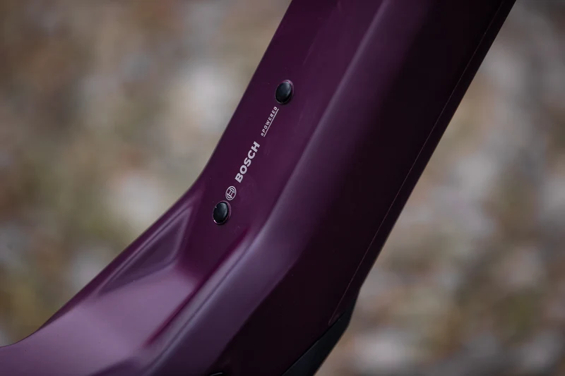 VTT Électrique Superior iXF 9.8 Matt Berry / Carbon 2025